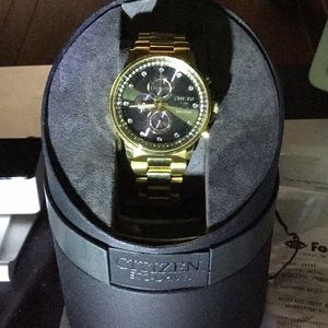 Citizen Eco-Drive...Nighthawk